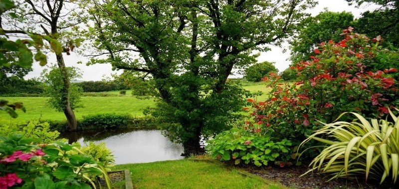 the-pond-makes-the-overall-look-of-the-garden-beautiful-c