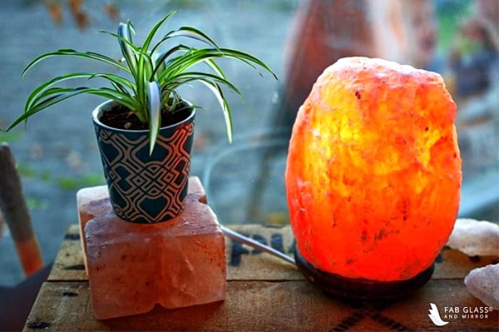 Salt-Lamps-with-Plants-Make-It-More-Effective-for-Healthy-Breathing-1-1c