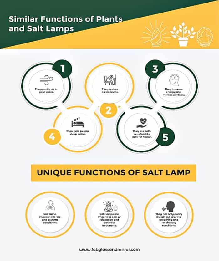 Salt-lamps-and-plants-share-similarity-in-functions-1-1c