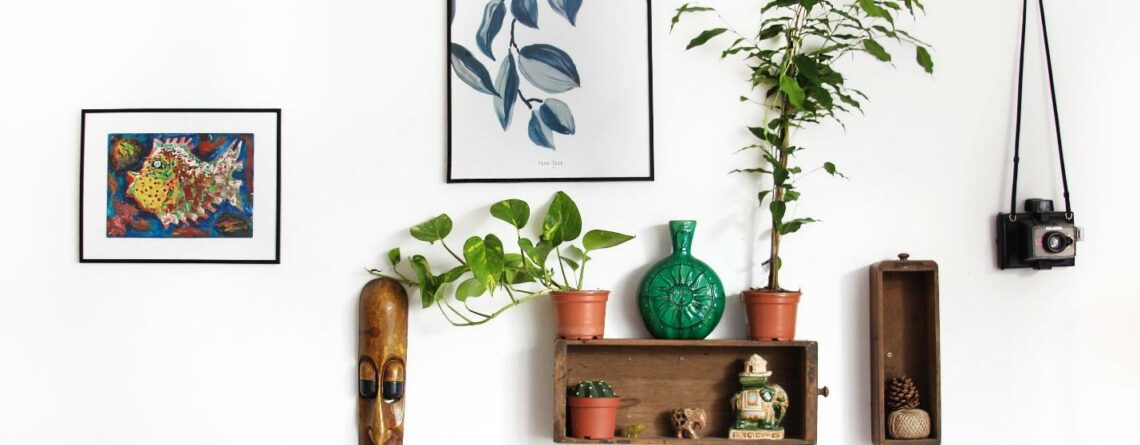 A wall decorated with details from wildlife and some plants on the shelf. Let’s learn more about how to use animal-inspired décor in your Florida home.