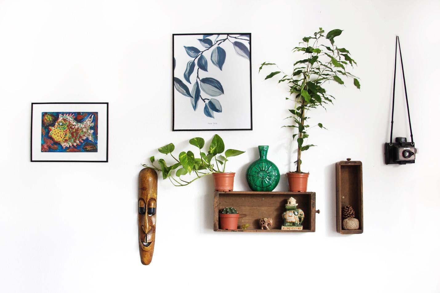 A wall decorated with details from wildlife and some plants on the shelf. Let’s learn more about how to use animal-inspired décor in your Florida home.
