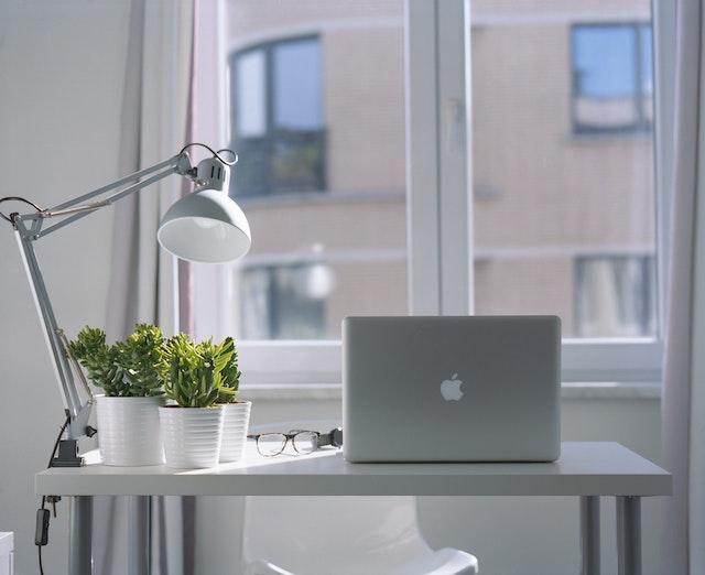 desk with a lamp, plants, and a laptop